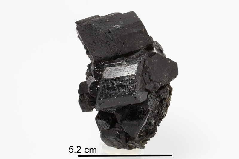 Fluoro-richterite (Ontario)